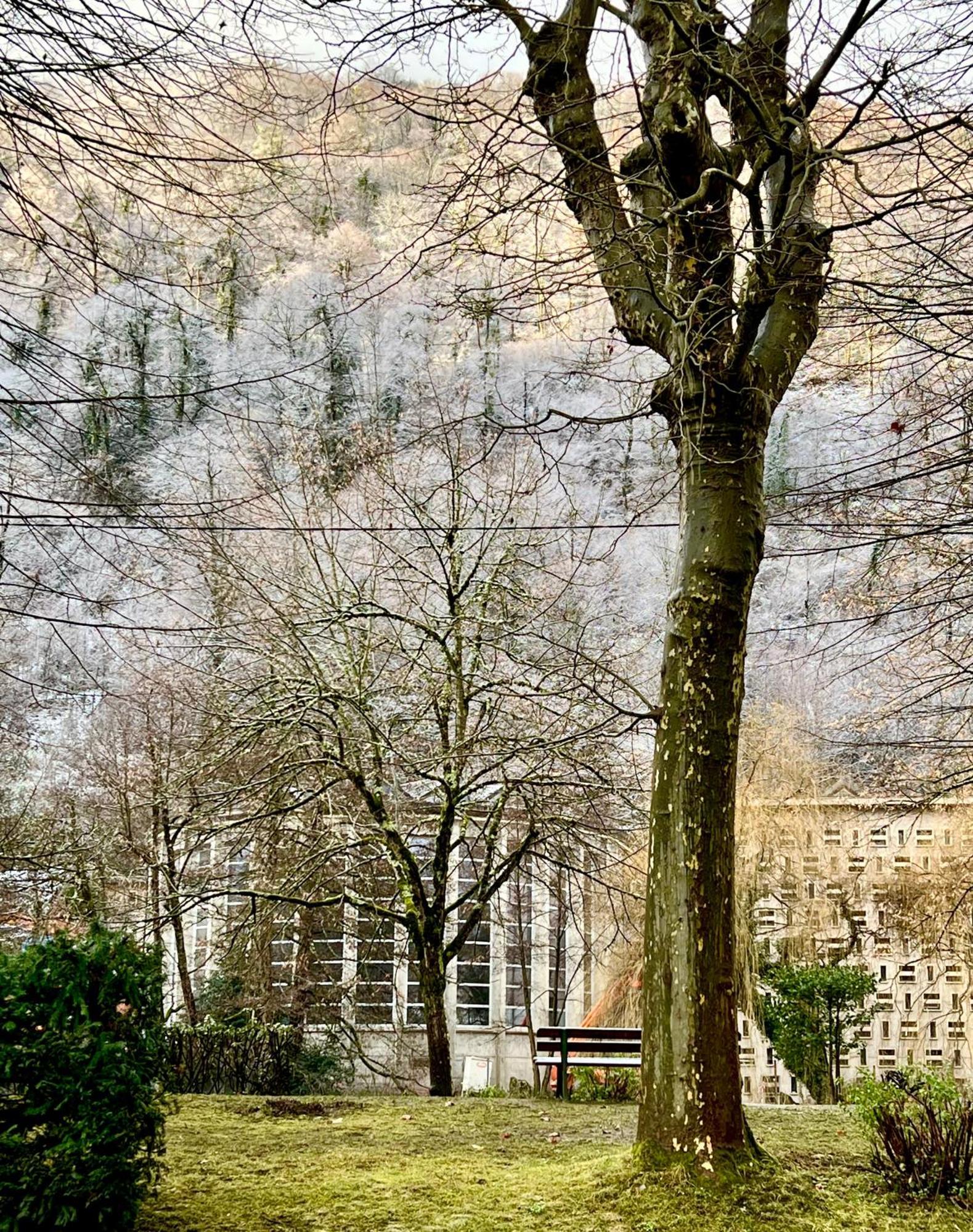 Fantastic Ground Floor Apartment Opposite Thermes Bagnères-de-Luchon Esterno foto