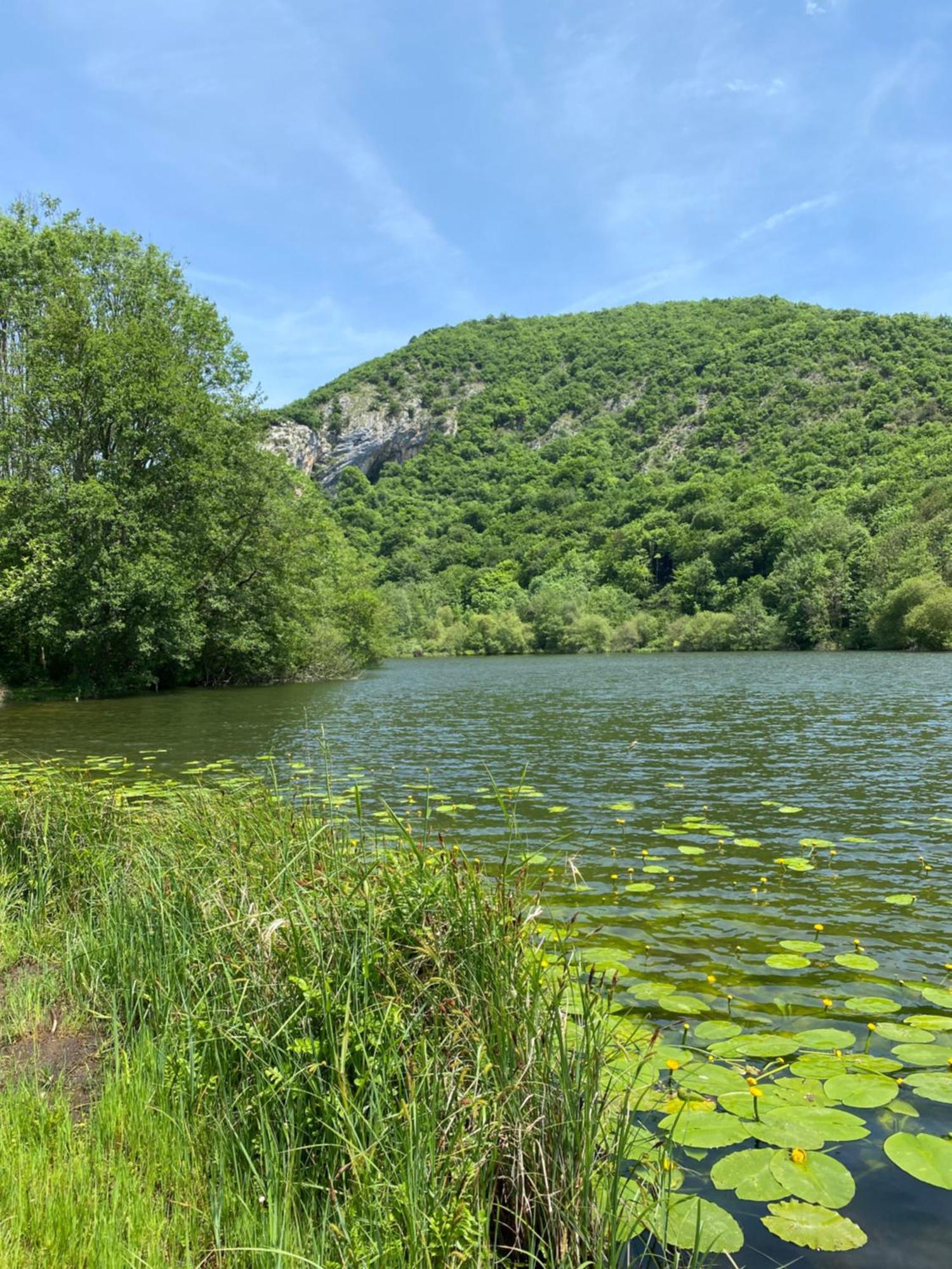 Fantastic Ground Floor Apartment Opposite Thermes Bagnères-de-Luchon Esterno foto